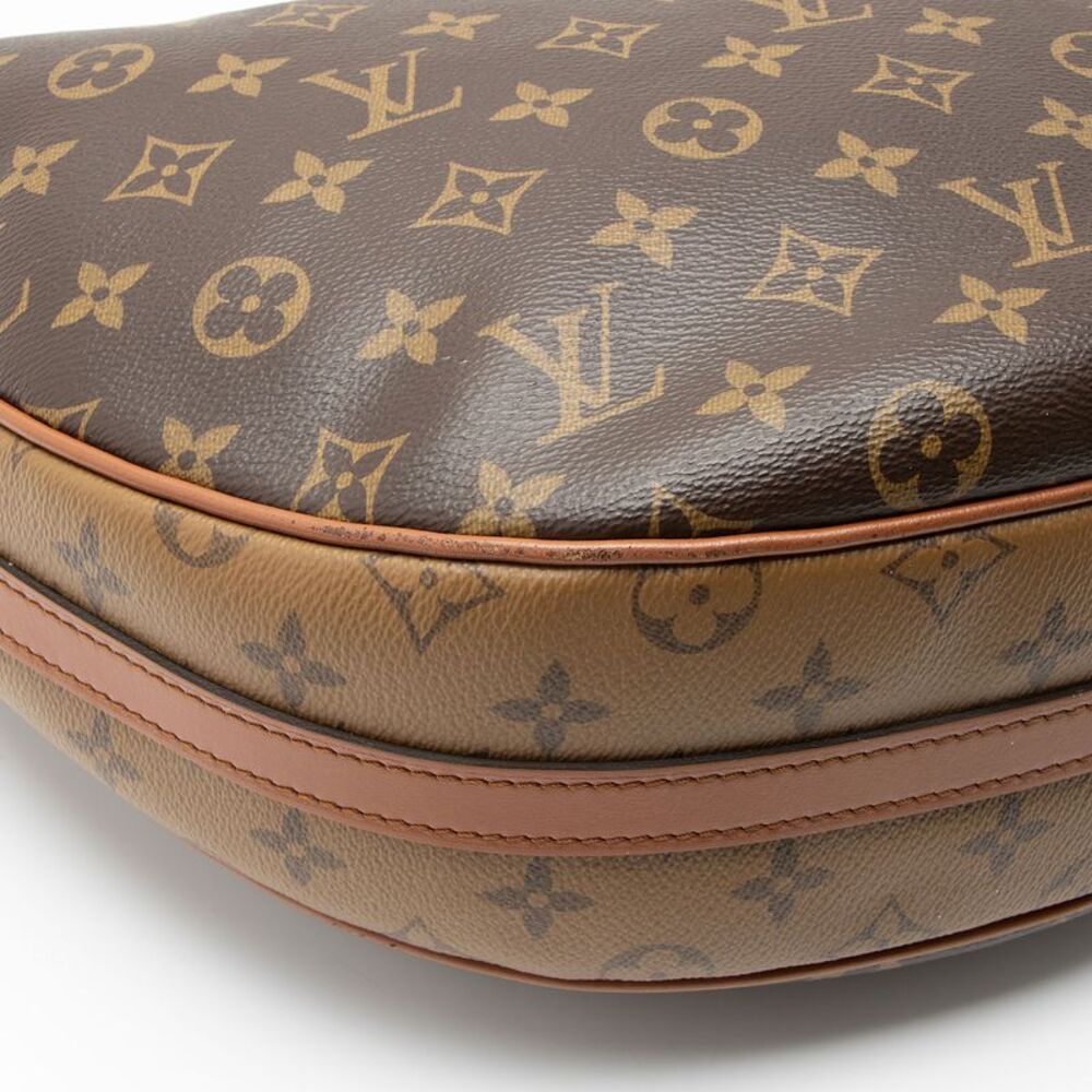 Louis Vuitton Monogram Canvas Loop Hobo - Picture 9 of 13